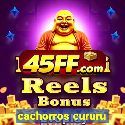 cachorros cururu